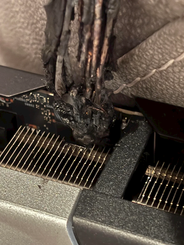 25年12月28日B开元棋牌app20(图42) 25年12月28日B开元棋牌app20(图42)